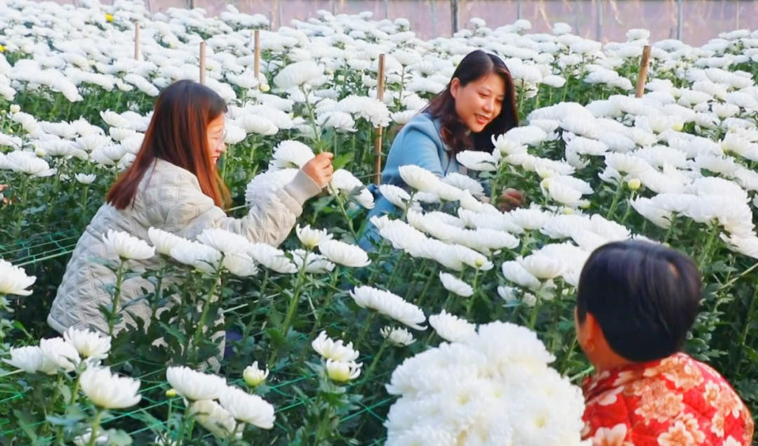 �F�ǅ^(q��)���ջ������M�ء���