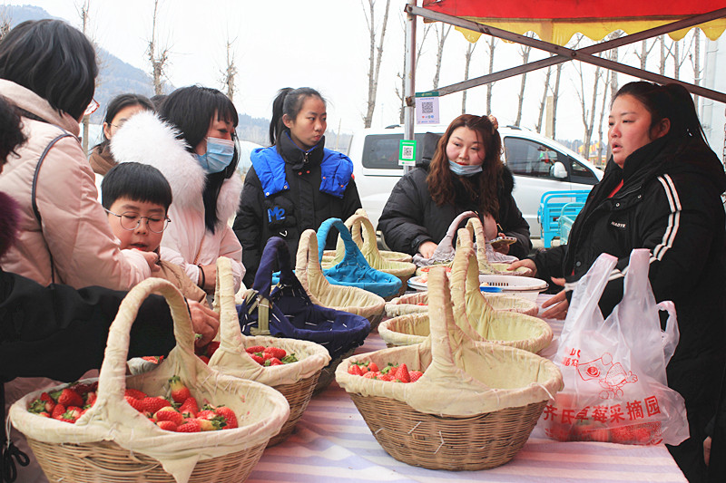 ��ݮ�h��c�´� | ���f�(zh��n)��ɽ�ڲ�ݮ��ժ��Ȥ���������w�(y��n)�e����ζ