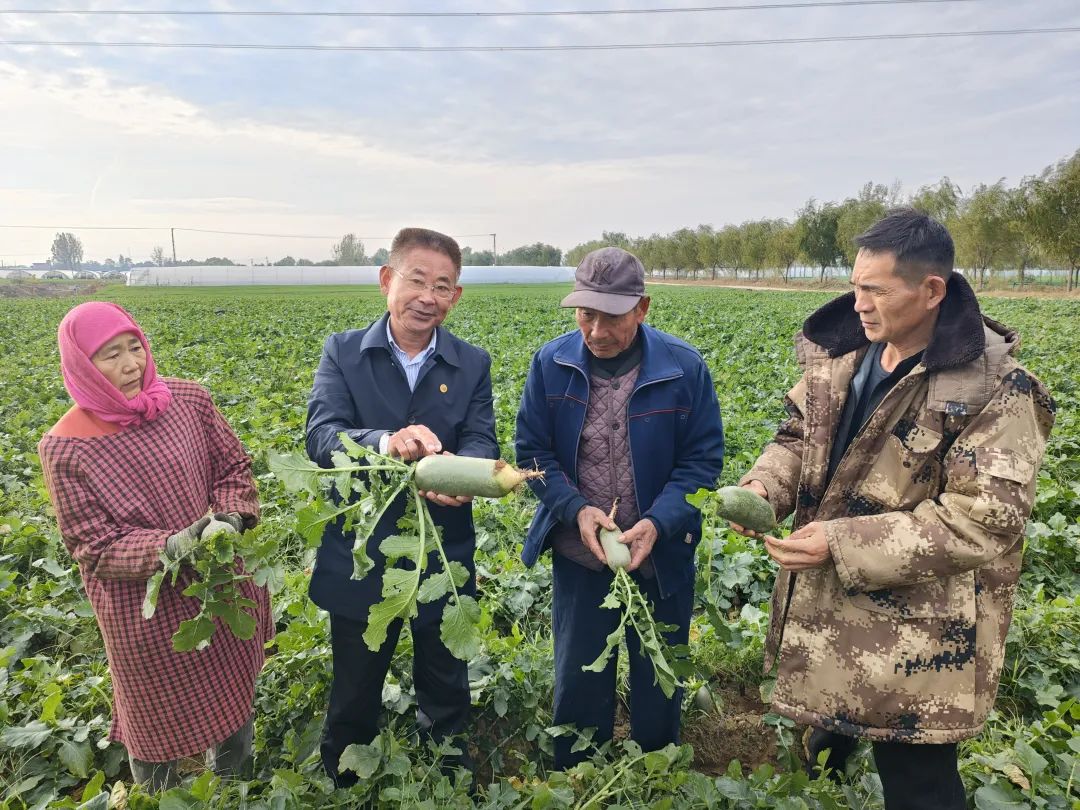 ������L�r�������f(xi��)ί�T��ֱ������ɳ�������}�����պ���ζ